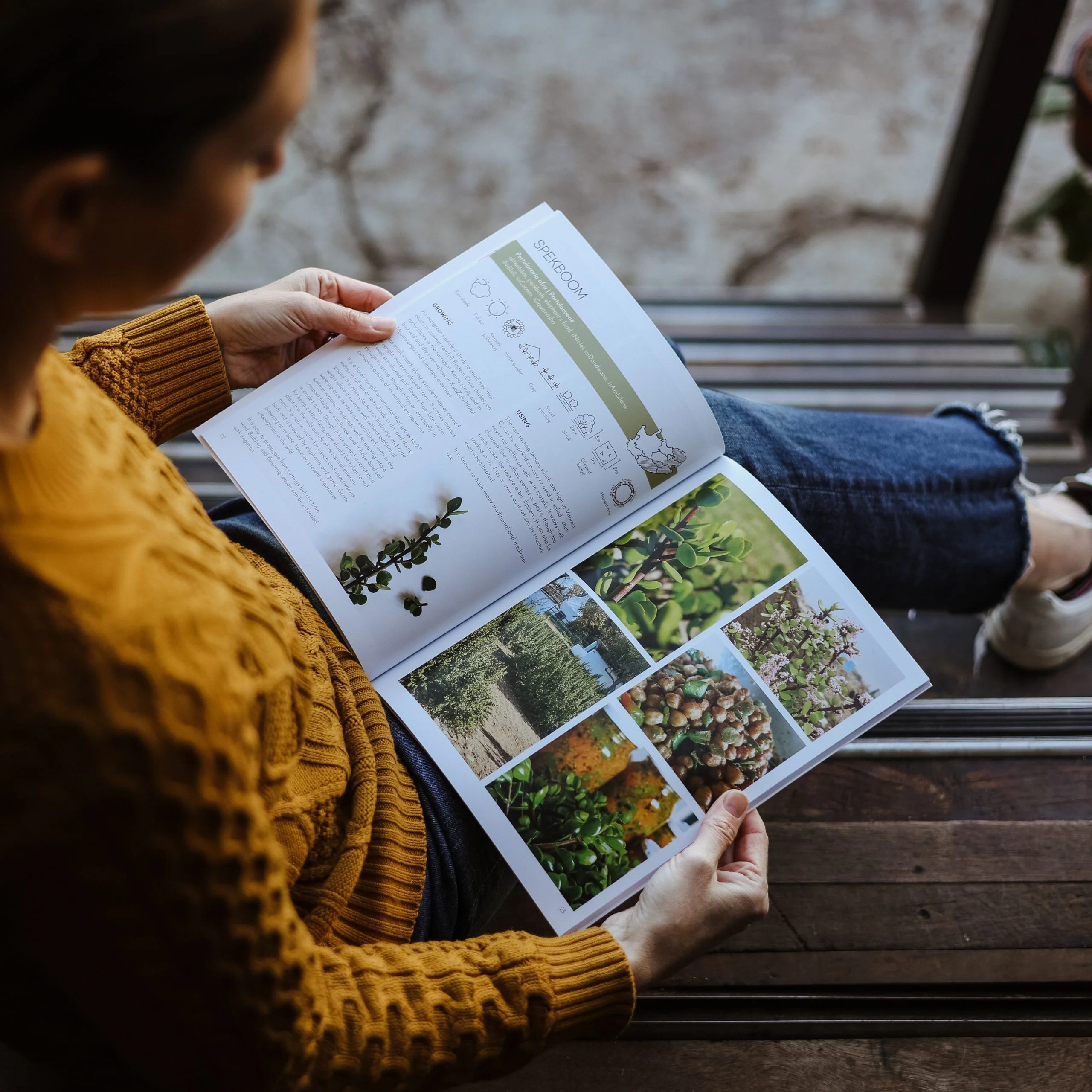 CAPE WILD FOODS: A Growers Guide - Image 2