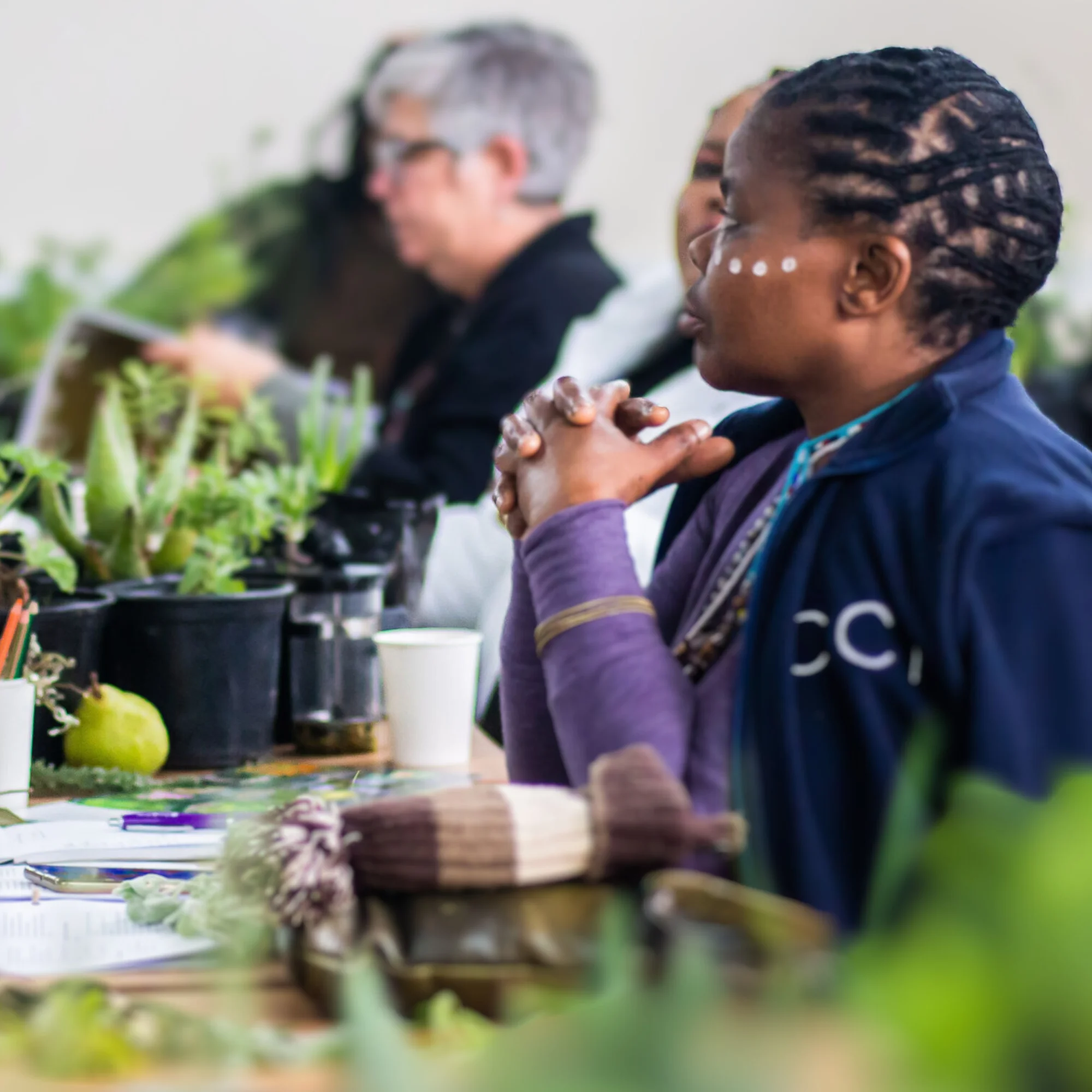 INDIGENOUS HERBAL MEDICINE - 3-Day Foundation Course for Healthcare Professionals 5 INDIGENOUS HERBAL MEDICINE - 3-Day Foundation Course for Healthcare Professionals - Image 5