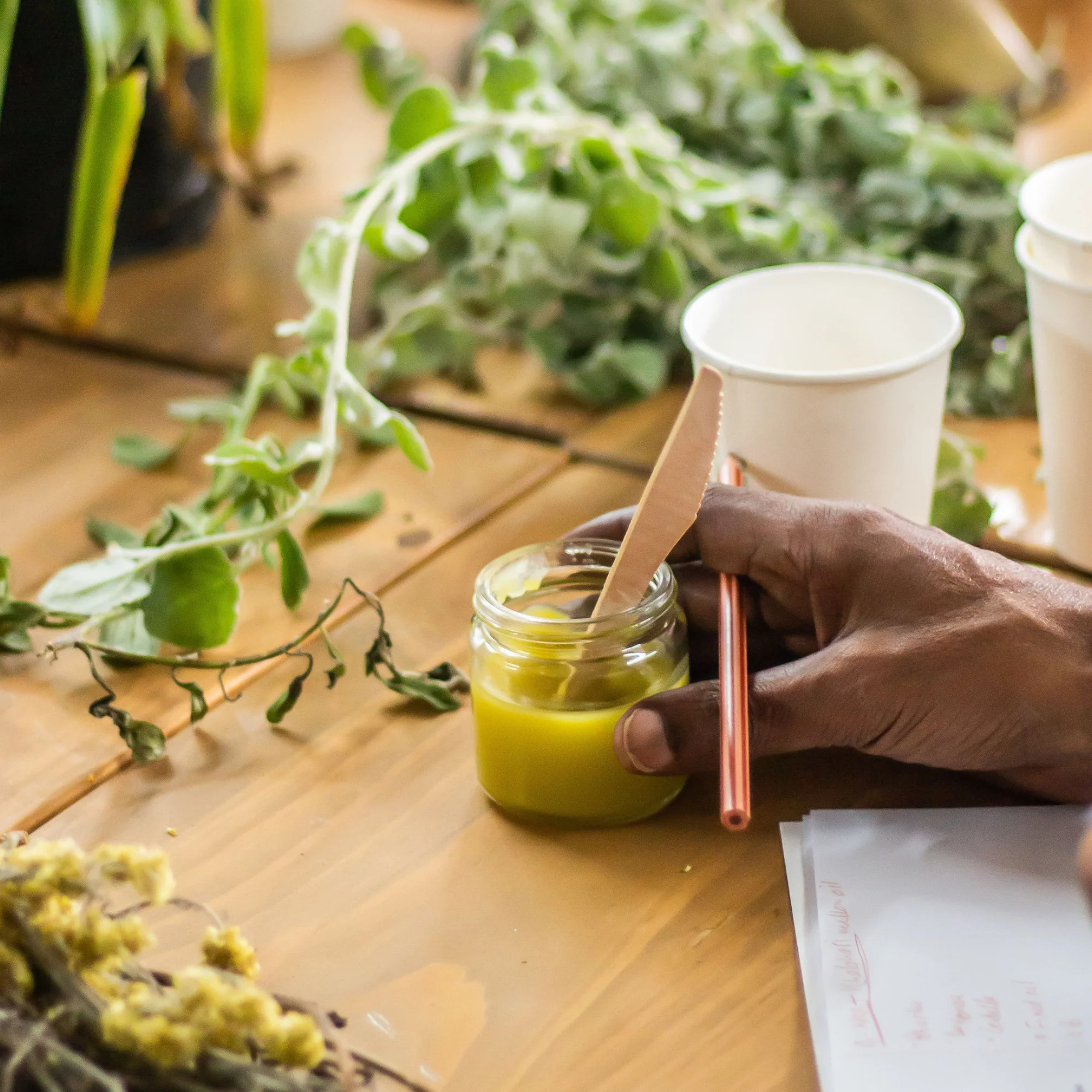INDIGENOUS HERBAL MEDICINE - 3-Day Foundation Course for Healthcare Professionals 6 INDIGENOUS HERBAL MEDICINE - 3-Day Foundation Course for Healthcare Professionals - Image 6