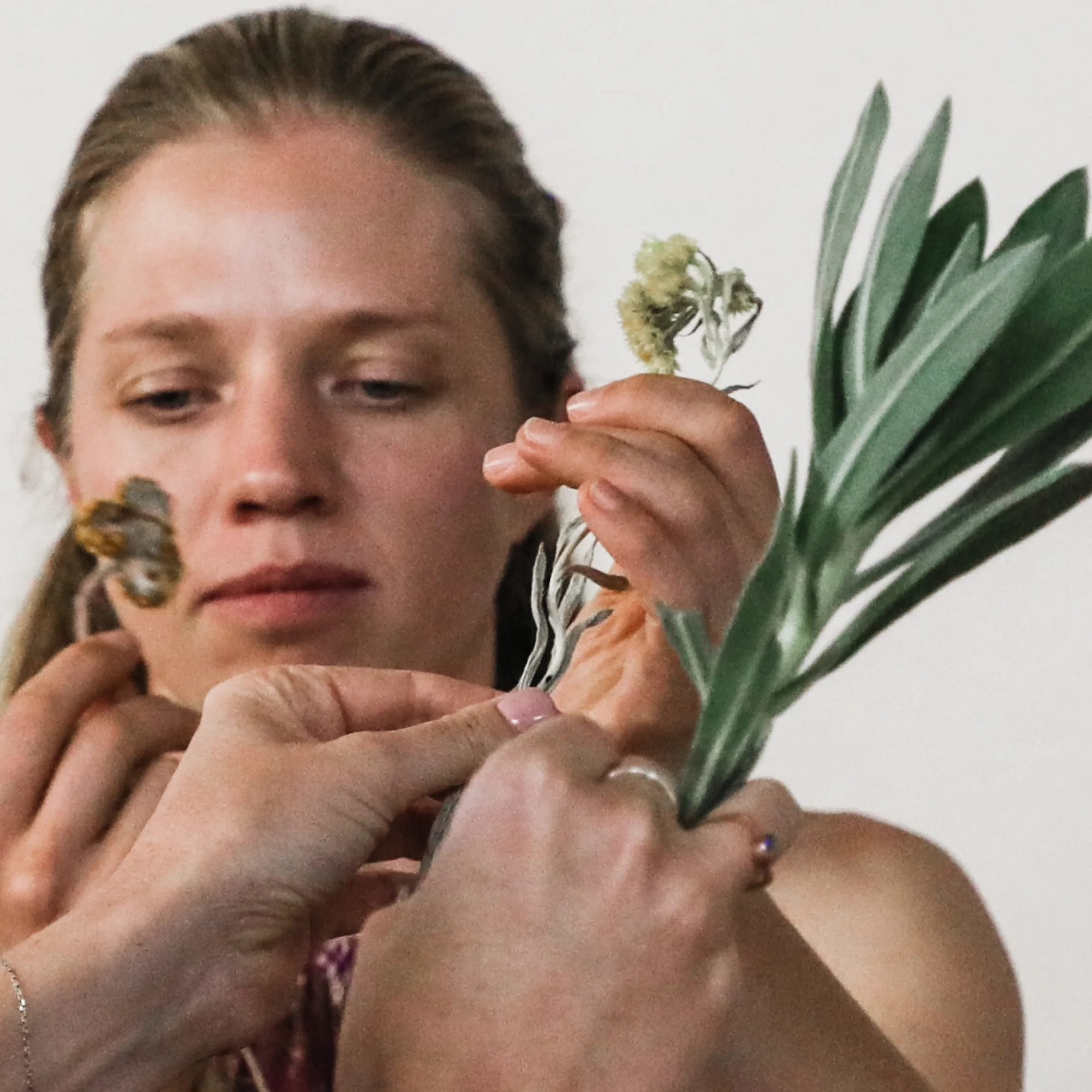 INDIGENOUS HERBAL MEDICINE - 3-Day Foundation Course for Healthcare Professionals 3 INDIGENOUS HERBAL MEDICINE - 3-Day Foundation Course for Healthcare Professionals - Image 3