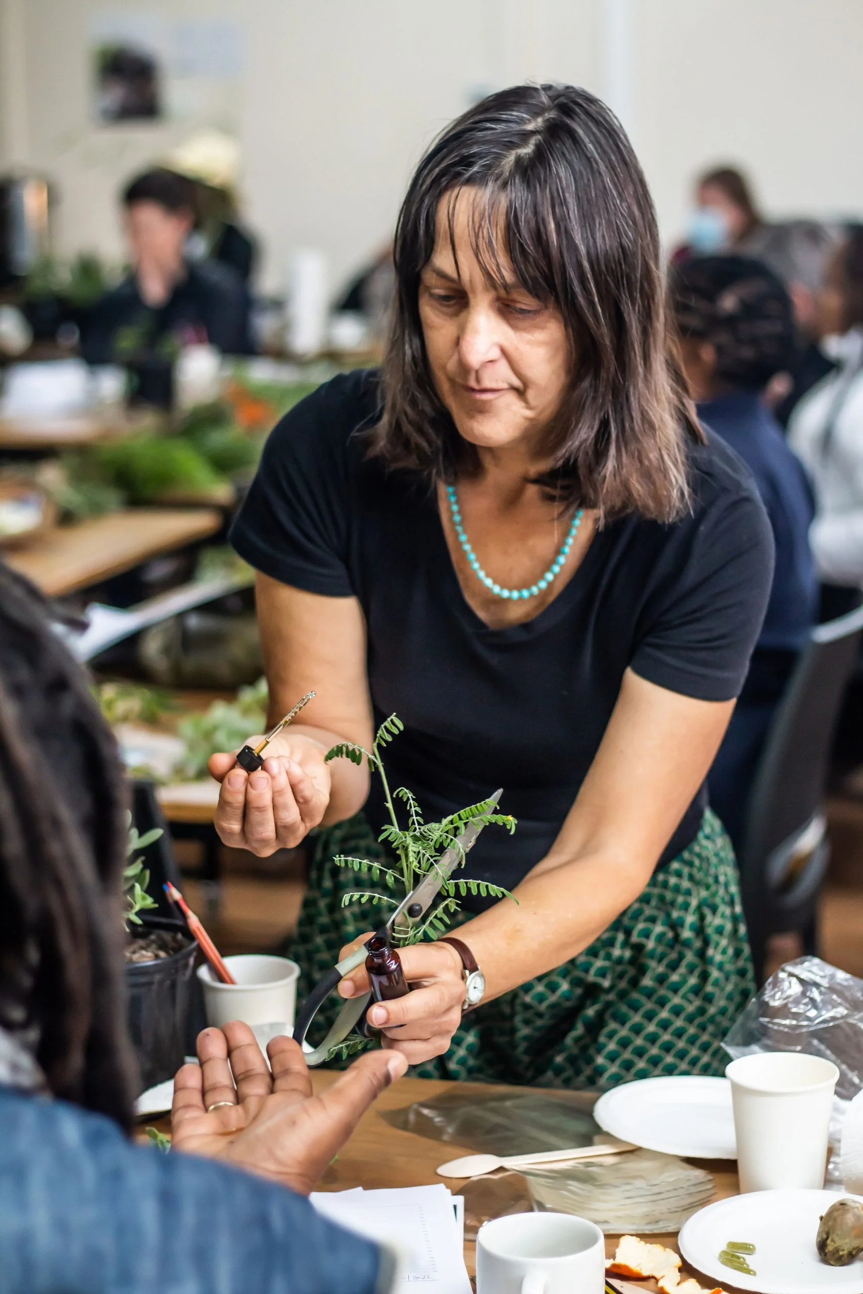 INDIGENOUS HERBAL MEDICINE - 3-Day Foundation Course for Healthcare Professionals 14 INDIGENOUS HERBAL MEDICINE - 3-Day Foundation Course for Healthcare Professionals - Image 14