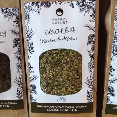 <em>Lessertia frutescens</em> - Tea